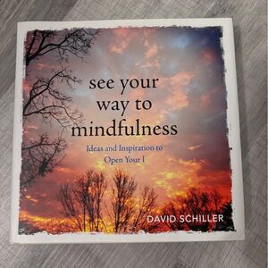 See Your Way to Mindfulness